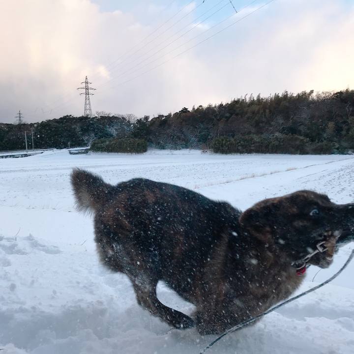 Fe335fda 6c15 4ba9 be9b fcf25c67bc5e 1516836894473