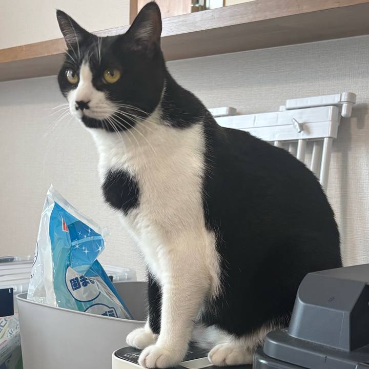 Fe338e25 3110 47b8 9e1b 0a7d18b967b2 1757219546258