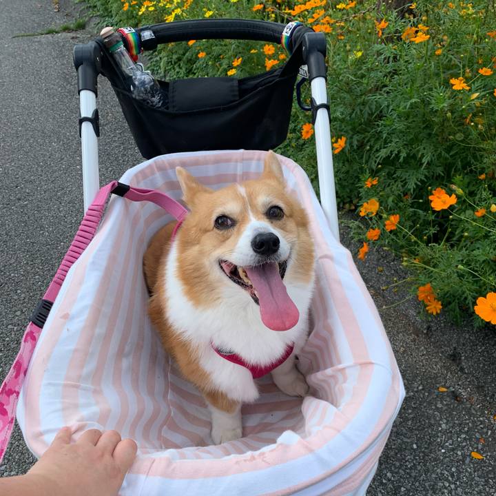 Fe339b06 84a4 442b 9de0 f2d68635df05 1695086071013