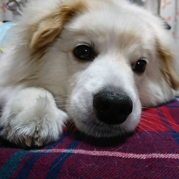 Fe33b168 44ed 4349 9e45 e11d37a596c7 1527887817068