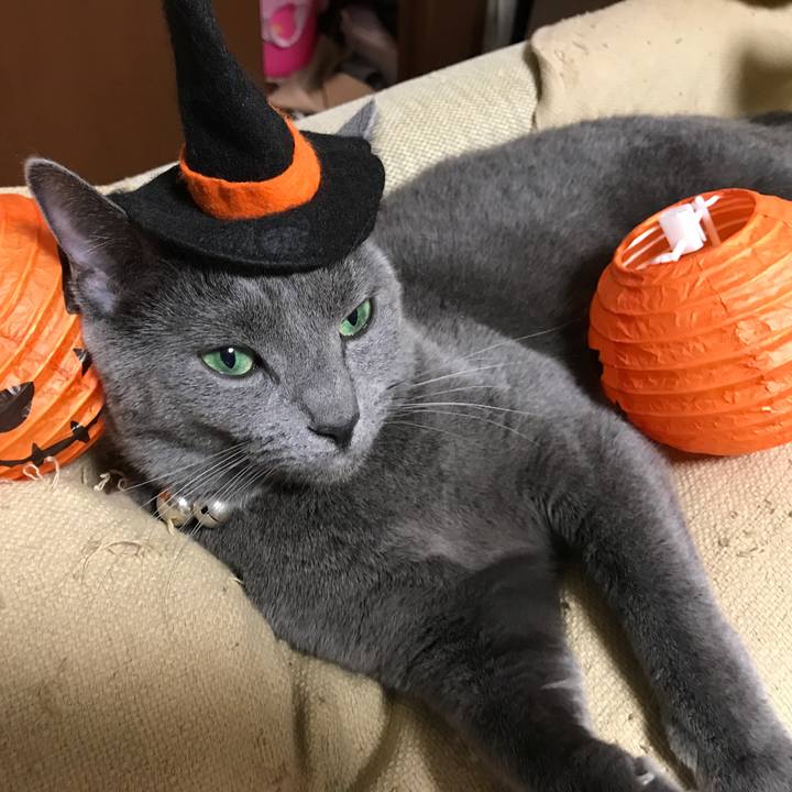 Fe33e1d1 61bf 4789 894f 6472aea07e82 1509341248437