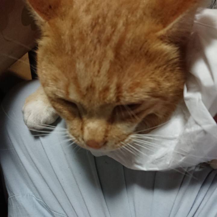 Fe341d31 2ce5 491b 9e60 cc8c7907c635 1574156894295