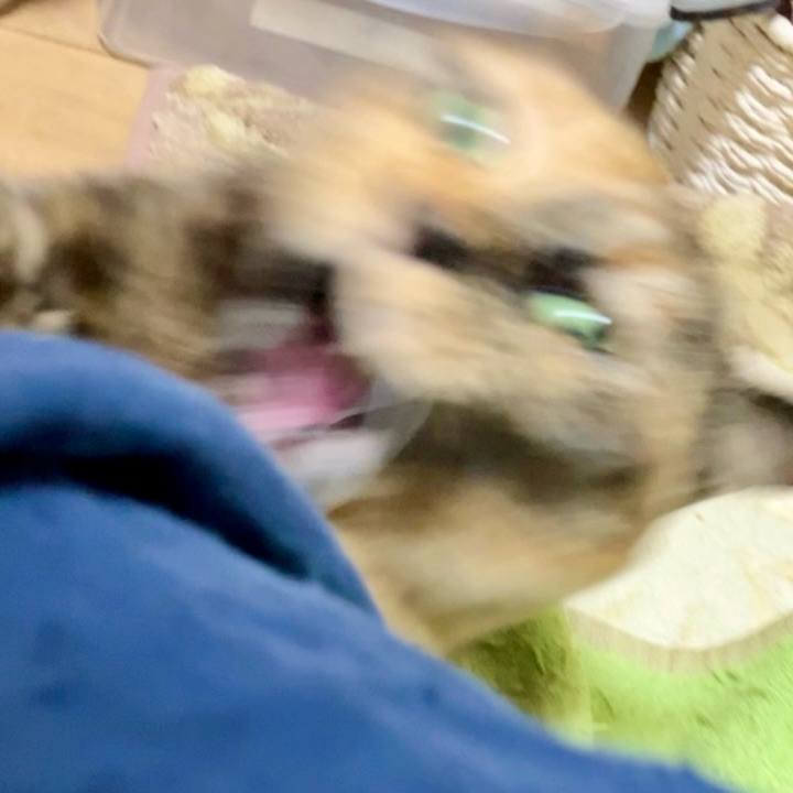 Fe34485a feb4 4e0f ad91 3ba8b9744050 1736855236879