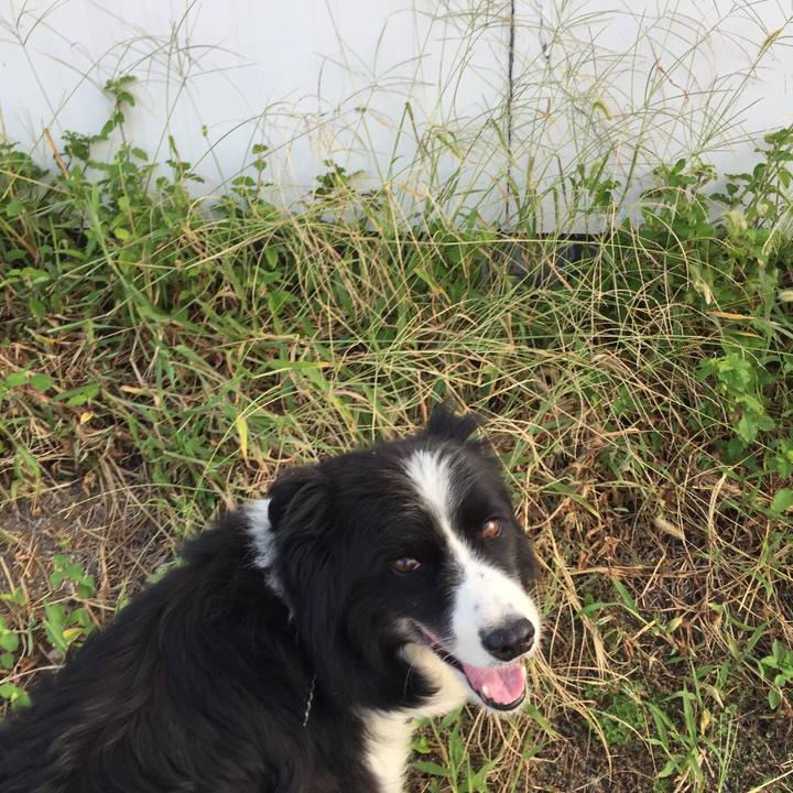 Fe347063 9ba1 40af ab84 03a61da0d0da 1568934244020