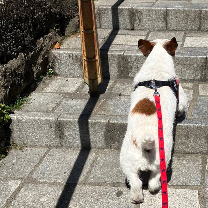 Fe34a7d1 b02e 4a19 93eb 0d22dbce268c 1681431856150