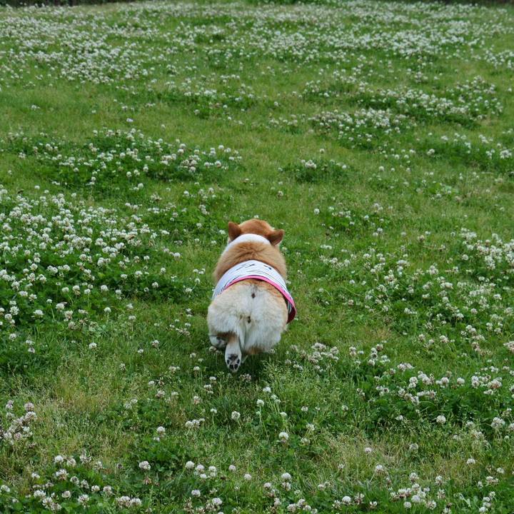 Fe34d2f3 270f 443d b460 0082a26d57be 1560076558739