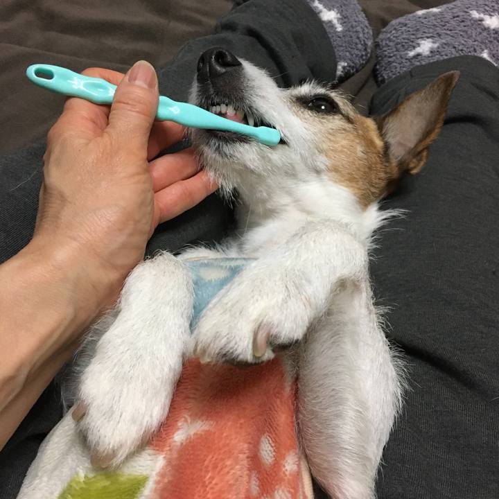 Fe3515cc d27c 4f05 b370 53347d24bf28 1614900227589