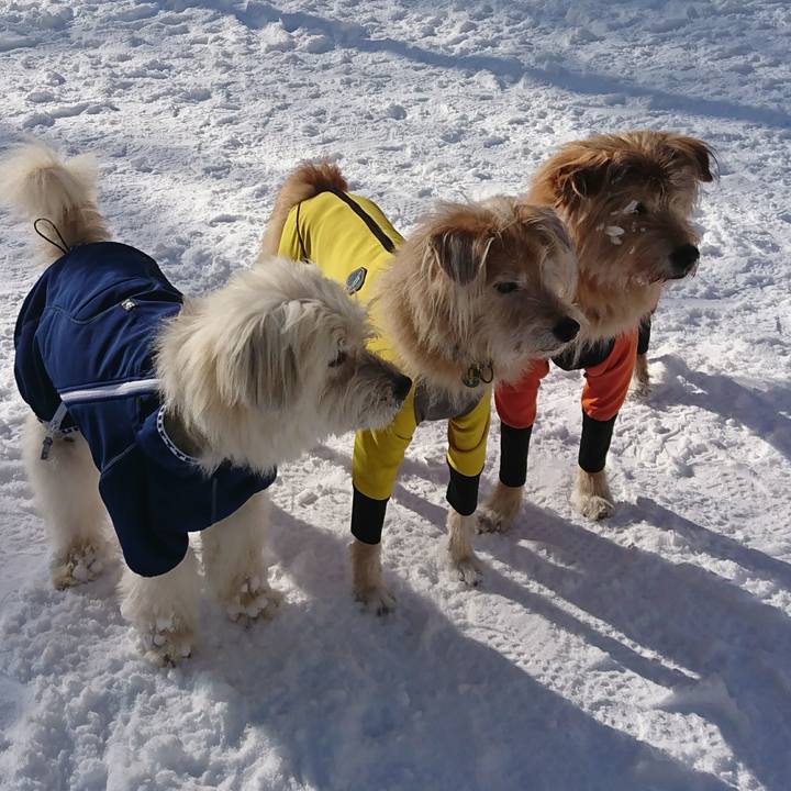 Fe35443b 6c3b 4974 925c 3410e050a4bf 1578215646029