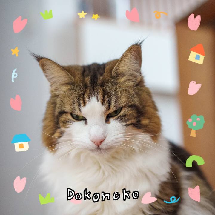 Fe354e78 8600 45cf 9057 2f5164ab5268 1741235853222