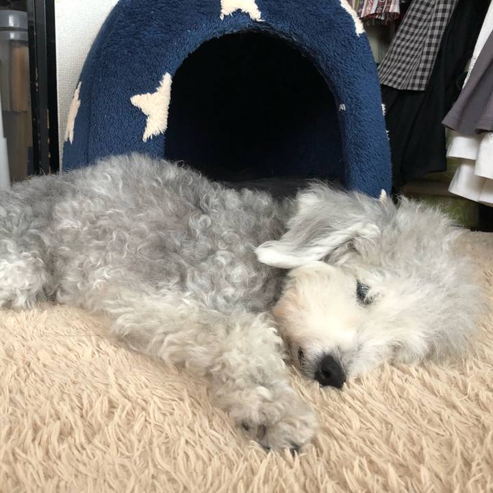 Fe358ae7 1117 4bf7 911e 64fa58aacb12 1657948996148