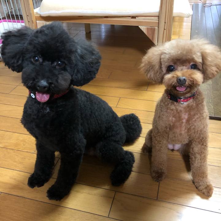 Fe35ac87 efe8 403a b5ba cf3b308c9c88 1600491784527