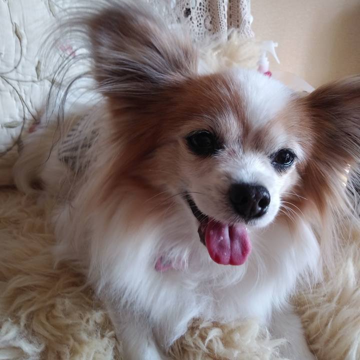 Fe35e37d 941e 4c3f a5ae 95c04b64ad51 1545889801252