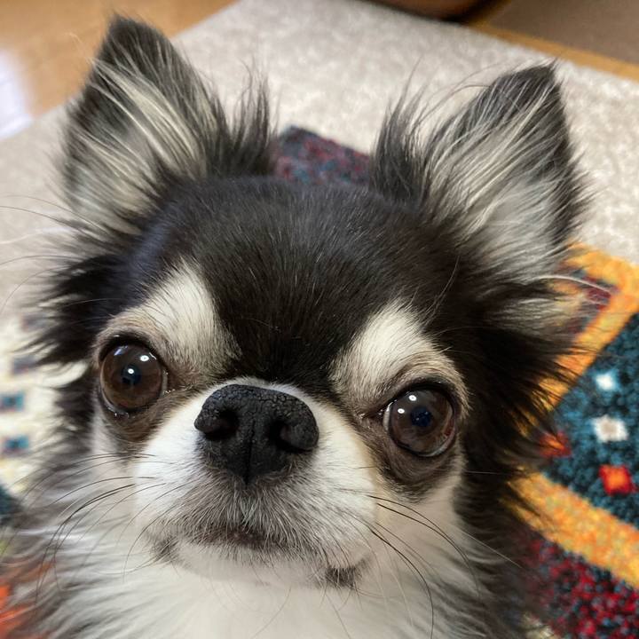 Fe362f37 4513 4772 995b cff21999dbfa 1704324495079