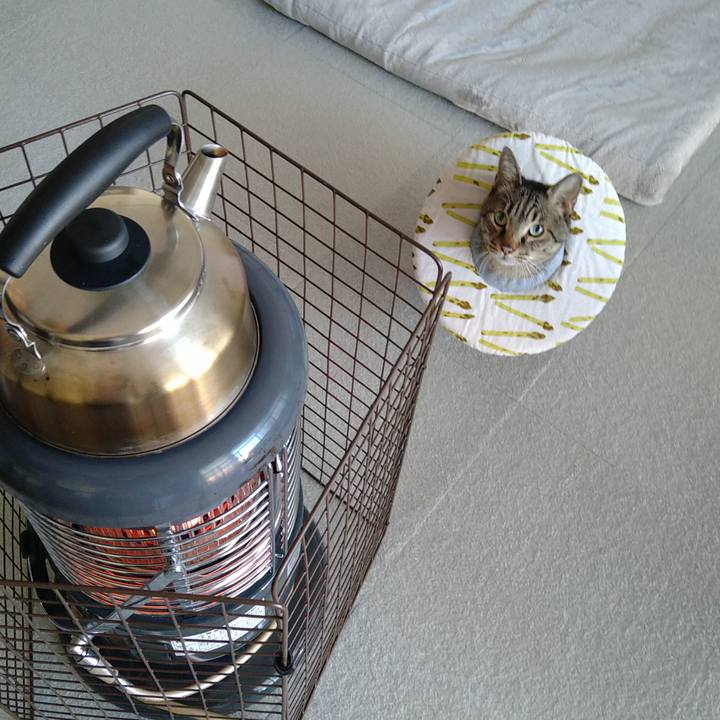 Fe362f98 f029 43f2 8c30 a5f36efd8ec7 1731971740461