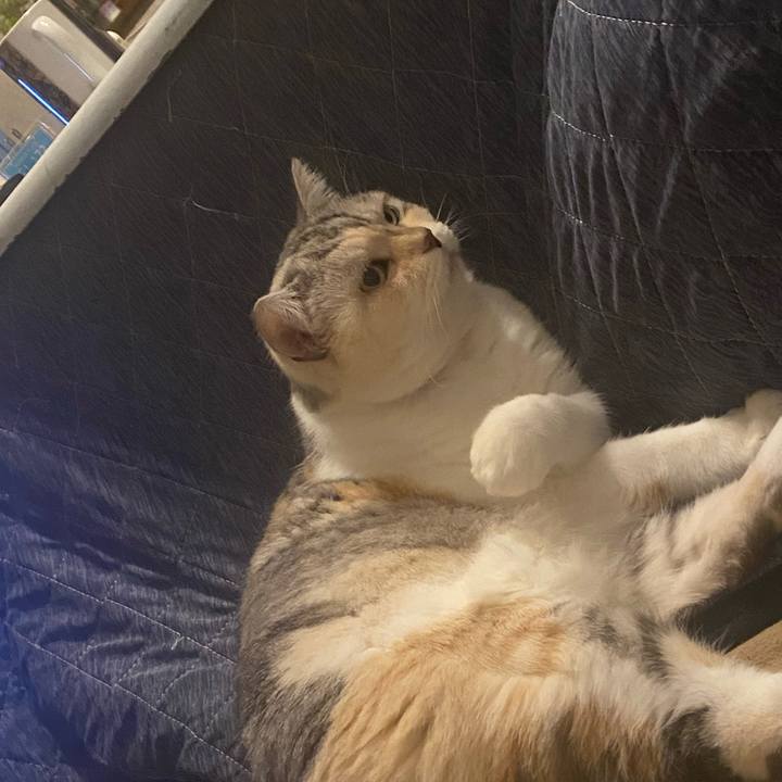 Fe36380d 8fc8 40f9 93e3 c33771d87150 1732278122499