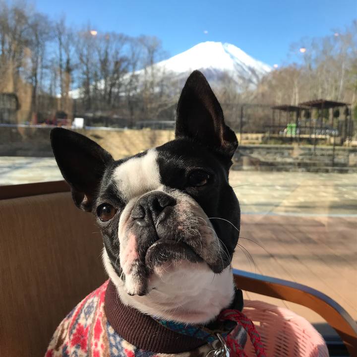 Fe366fb9 5669 40c6 a0ef 91348cbe6fd3 1575169309928