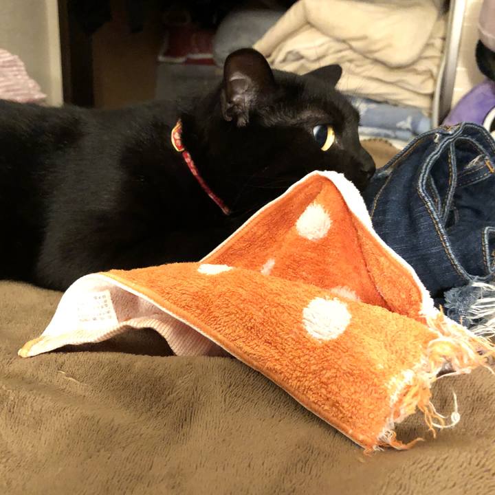 Fe368b97 c16b 405a 876d e3242c0f00e2 1528841263975