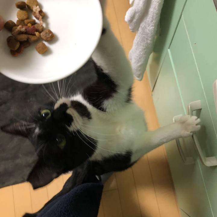 Fe36999d 8e7a 4fc7 b213 24d81d2f69b1 1550237061732