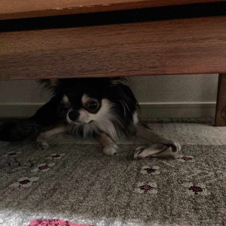 Fe36d0c4 95b0 4804 9ef1 2b853c2adf05 1616855258521