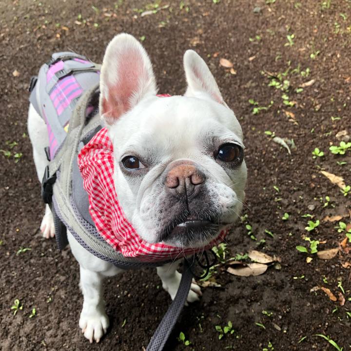 Fe370d9c 0910 488a badb b19c9e051b63 1684560823754