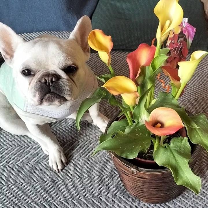 Fe370dfb a680 4afd a9da ead5772bcd20 1678229461232