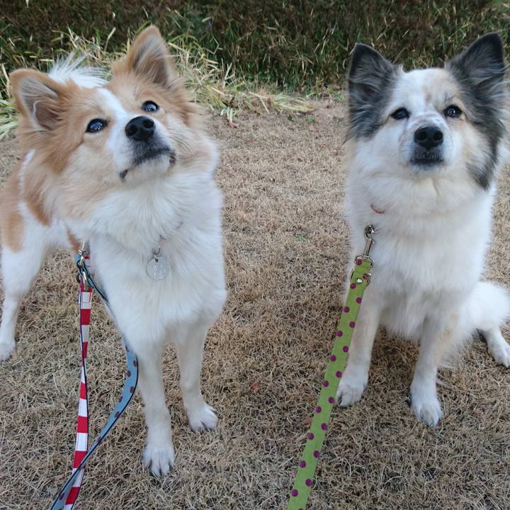 Fe371dfa dba1 4085 875f a938610f6a75 1515327280795