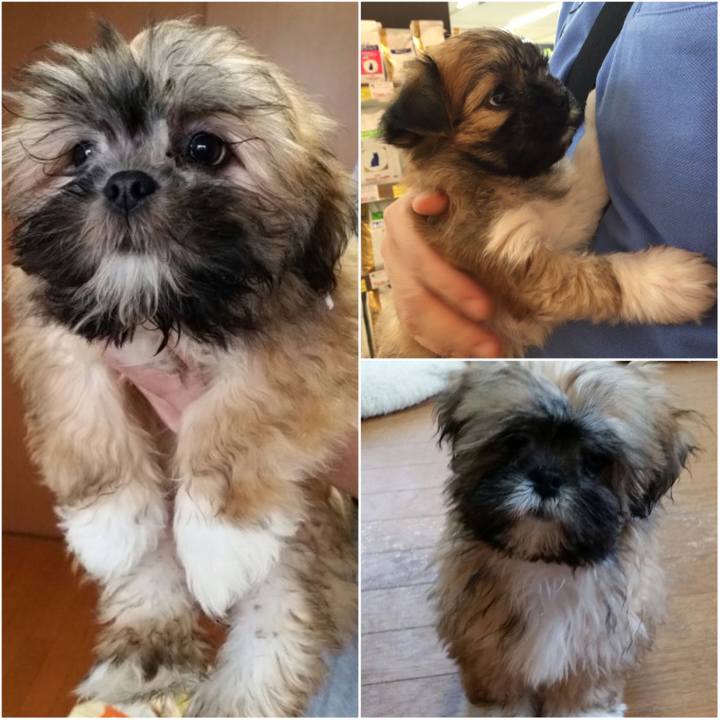 Fe373d95 1b11 44a7 826c dbafcedb2573 1584751061599