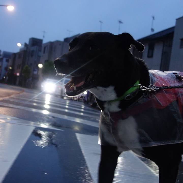 Fe376317 f5e7 4fd1 a84f 35c0fe120919 1629022570641