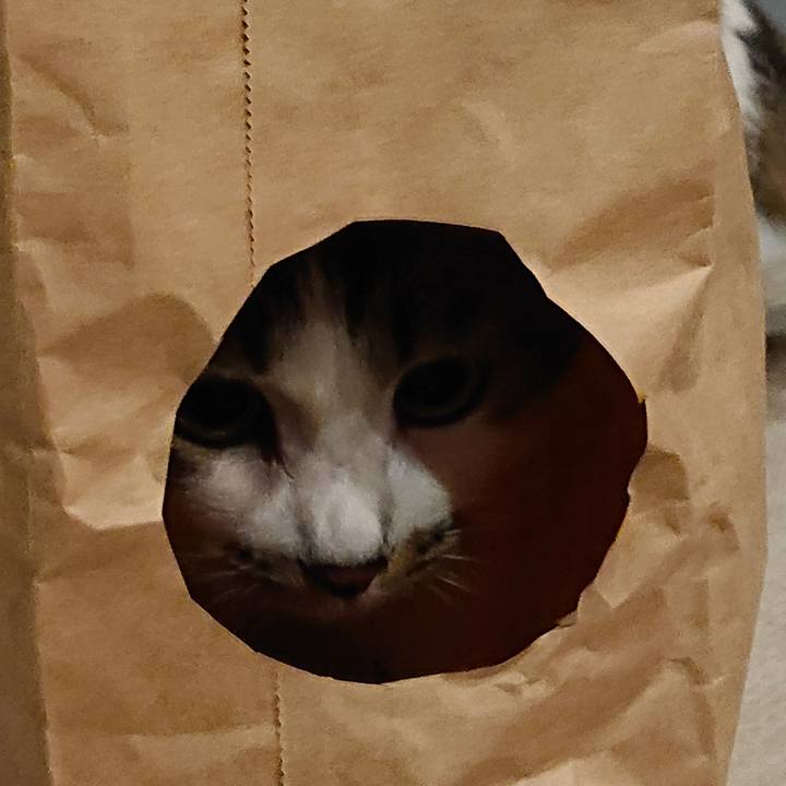 Fe37723e 700a 424c ba0f f9cc321f1a8b 1627257842936