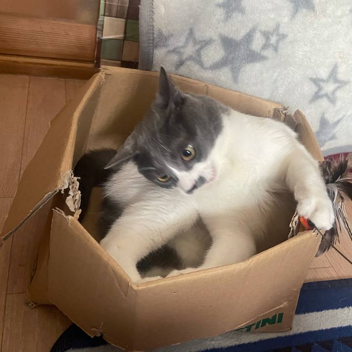 Fe3774a3 1b97 4a19 9ed0 cb8d3485ae8c 1628650129865