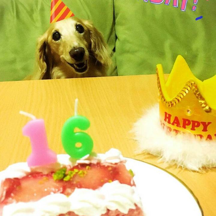 Fe377fc0 a9b5 44ed 84d5 03d42f63573a 1543329142999