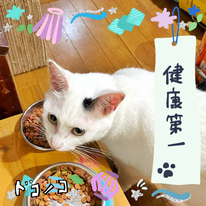 Fe37853c 4d40 46ea 8bda 015281667c94 1721342895778