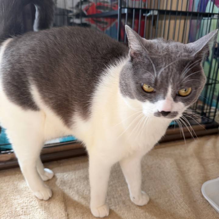 Fe3810cb 23aa 4097 9425 554d6b42f52a 1763253403666