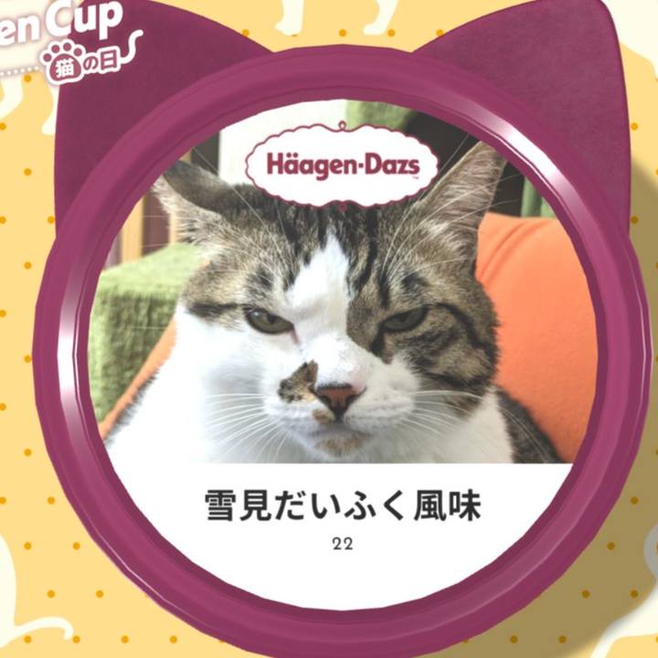 Fe3814d6 0a2d 4577 aff1 e3cee0210fdd 1708638043297