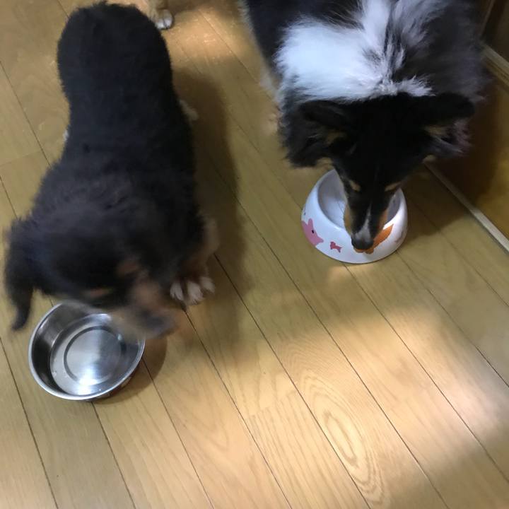 Fe382cfe b0f8 4fed aac0 fcbe9bd3fe55 1531531055445