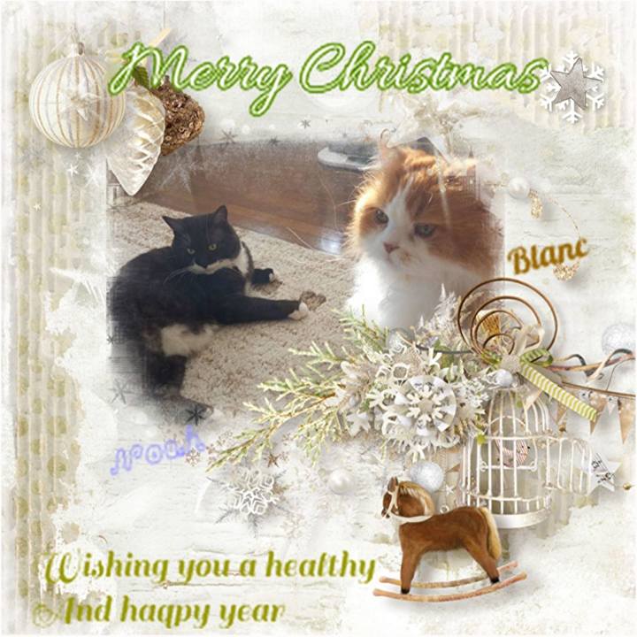 Fe383b8e bd41 48b9 a87e 06d52531e0e5 1735008940638