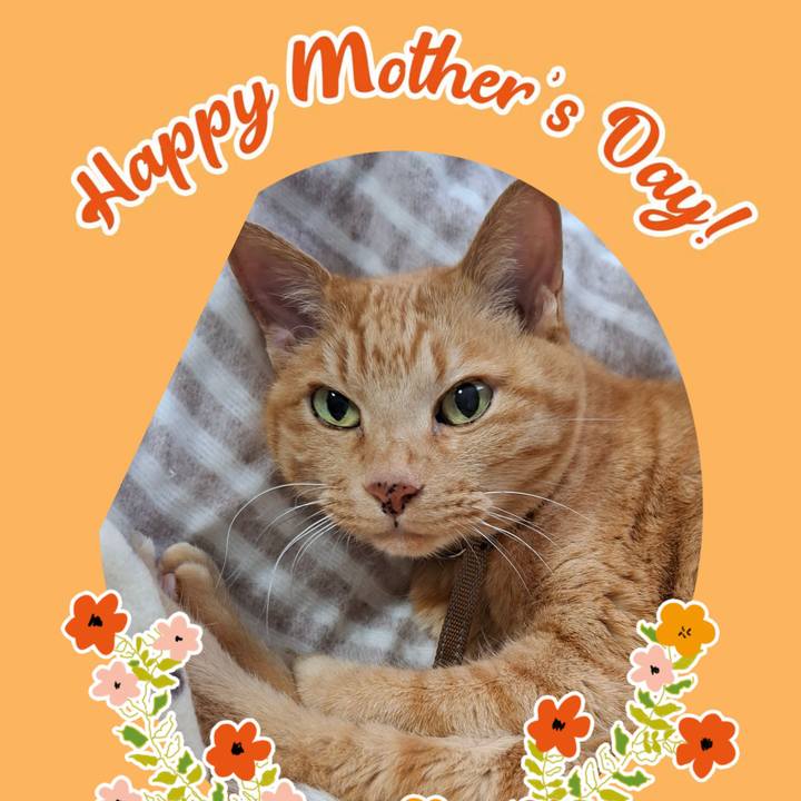 Fe386ac9 2e1f 4895 89bd 3b35044f9682 1746947440969