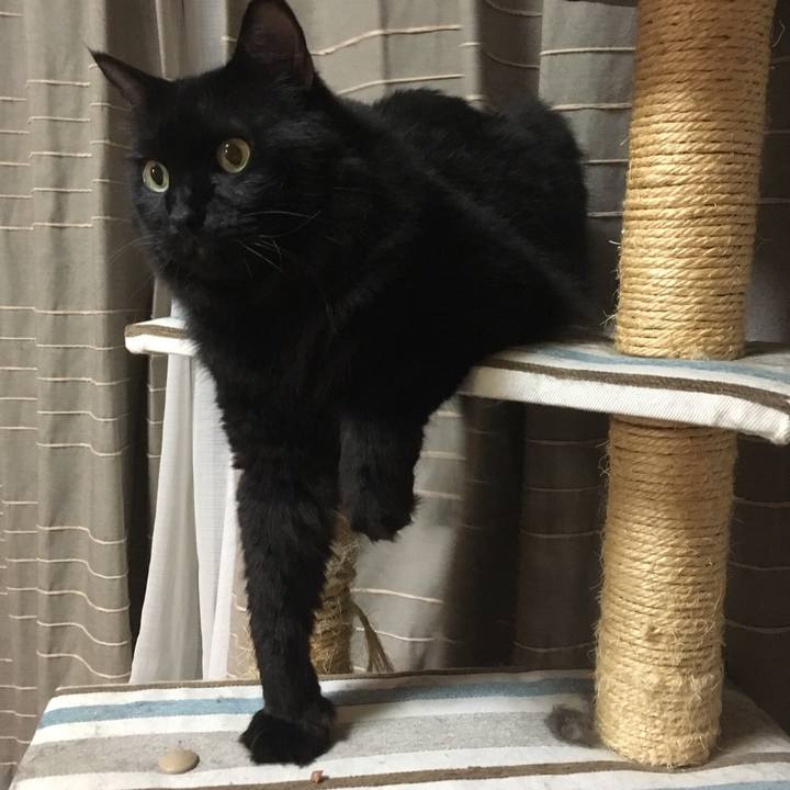 Fe38c740 7320 49c8 a66c cb7f88f51a4a 1569140121483