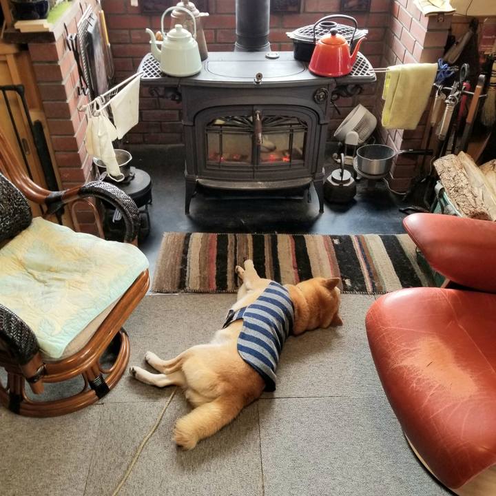 Fe38de91 24ae 43d1 b5fd 0aab8a73aa60 1610849152409