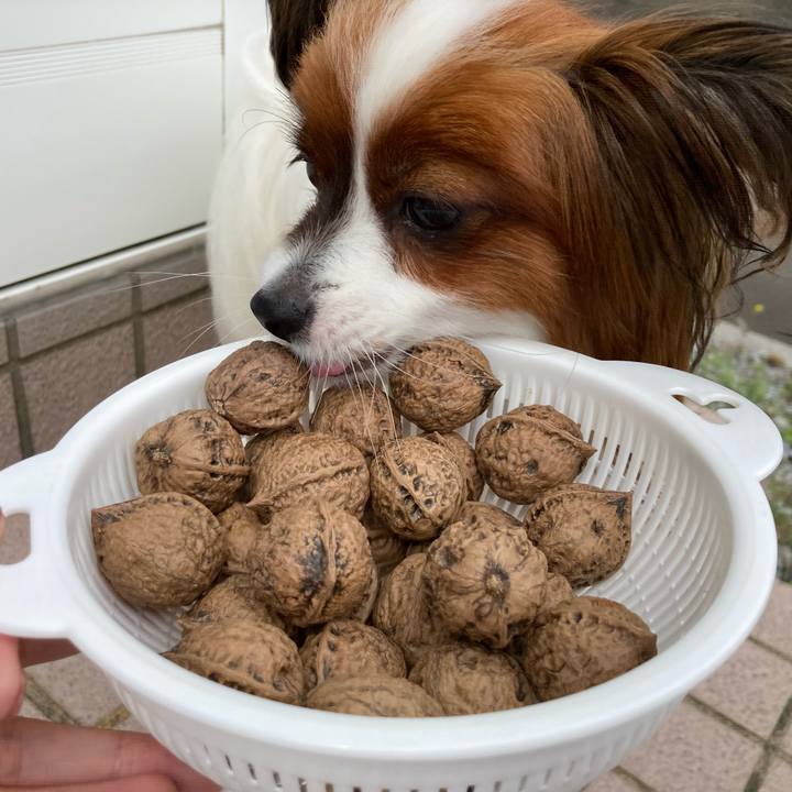 Fe38fca6 3e0d 4cb0 bd42 3c8ae79067a1 1632191358126