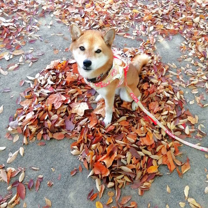 Fe392f15 7b5d 42f8 bdcb 60530f3a272d 1668430716975