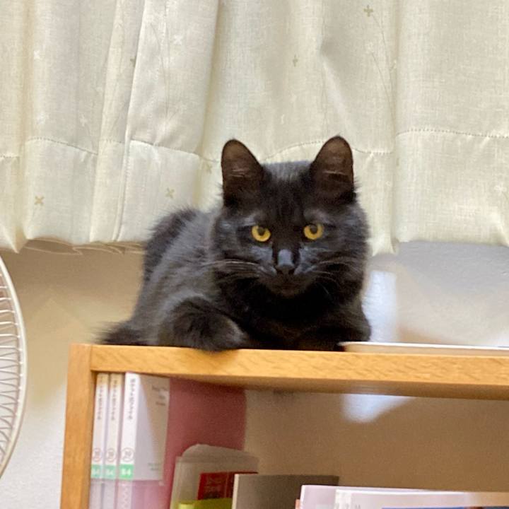 Fe392f66 df09 4db6 9092 78ae51803d4d 1711627999309