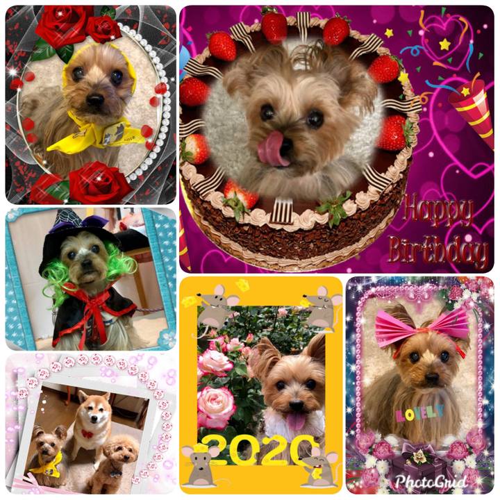 Fe3978d2 078f 4932 aefb e92158129ead 1579021481700