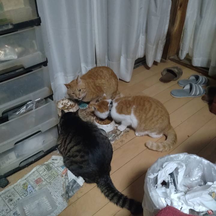 Fe39a18f a4dd 44e8 87ac 607e841a2e55 1767143169742