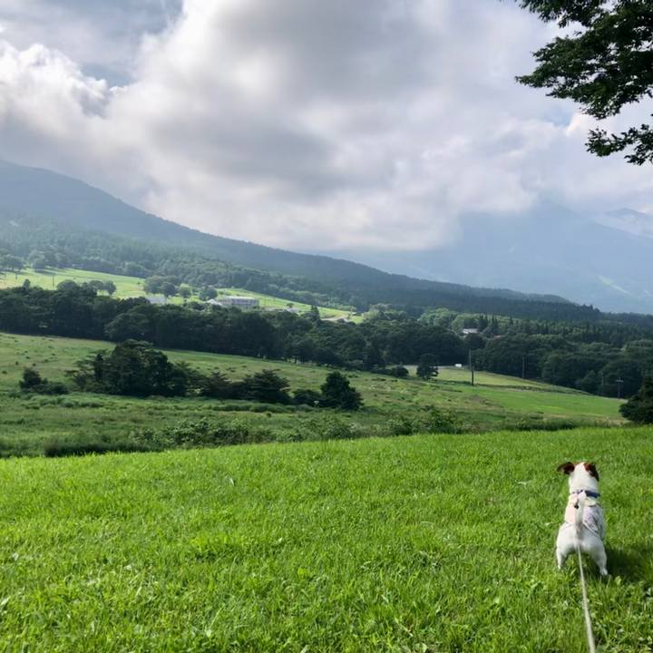 Fe39a842 39bd 450c 9273 8850bacdd1a6 1596347457983