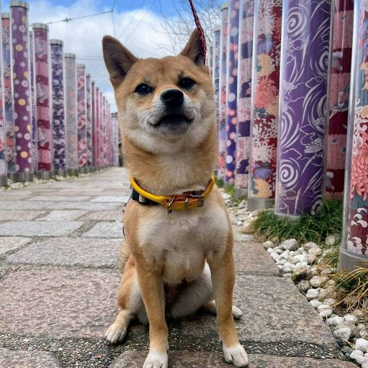 Fe39d442 d2c8 44ce 82ff 4376752c9242 1773574487578