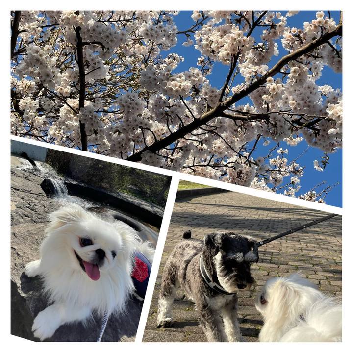 Fe39edf9 2e4f 471c a6ac 026e91b291f0 1650200210268