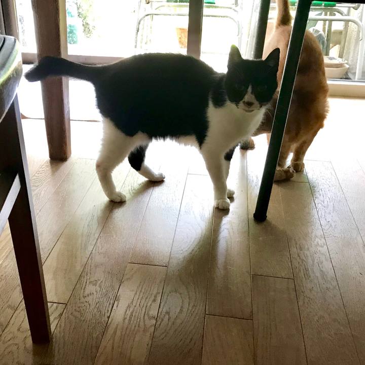 Fe3a0f17 c9b6 4e0e 8a67 1cb7d667ec0f 1564190902768