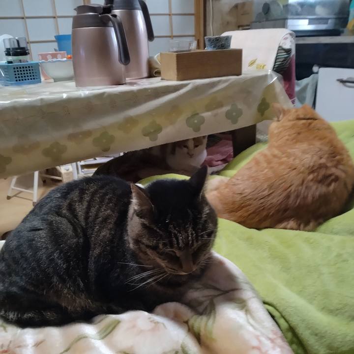 Fe3a1e9e f61a 4b63 89ca 60e9d829ff3b 1729484501602