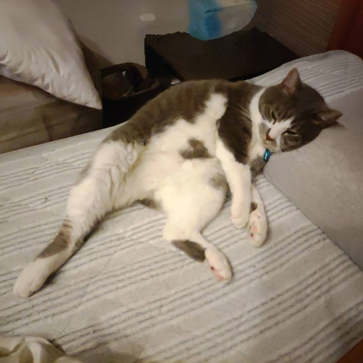 Fe3a32e5 4db9 429f 8473 20aa9d953760 1721562037756